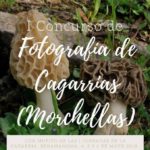 cagarrias portada