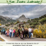 romeria_grazalema