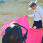 toros_1