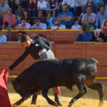 toros_2