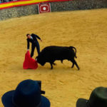 toros_3