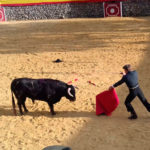 toros_4