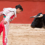 toros_ubrique