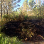 incendio-sierra