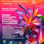 animafest-cartel